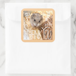 Sticker Carré Hammyville - Hamster Merci