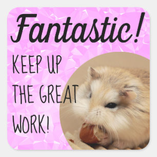Sticker Carré HammyVille - Joli Hamster Fantastique Grand Travai