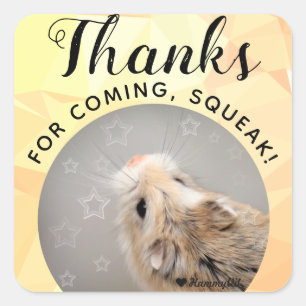 Sticker Carré HammyVille - Joli Hamster Merci pour la Squeak à v