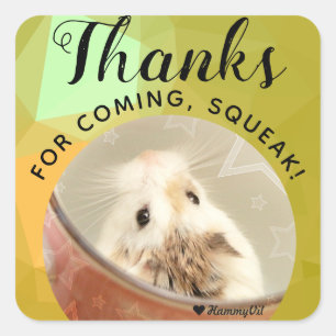 Sticker Carré HammyVille - Joli Hamster Merci pour la Squeak à v
