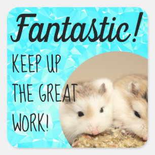 Sticker Carré HammyVille - travail fantastique de hamster mignon