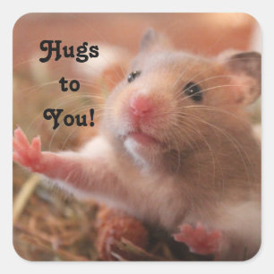 Sticker Carré Hamster Hugs