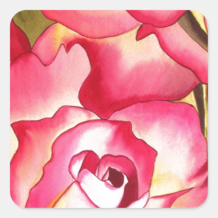 Sticker Carré Hannah Gordon rose Rose Watercolor art