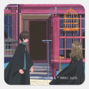 Sticker Carré HARRY POTTER™ & Hermione à Eeylops Owl Emporium