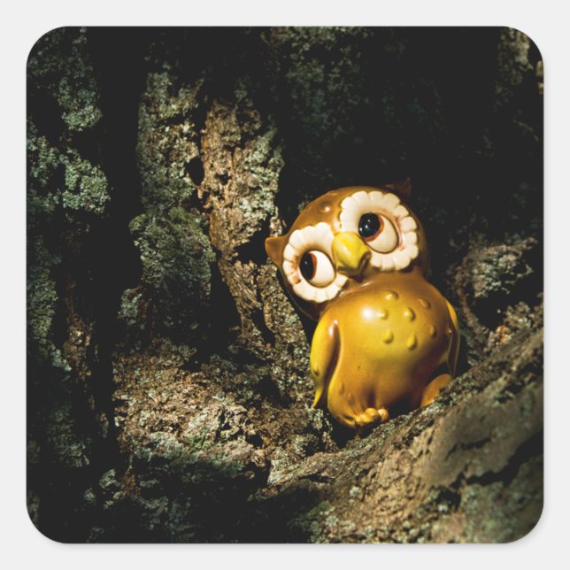 Sticker Carré Harvey le hibou I (Devant)