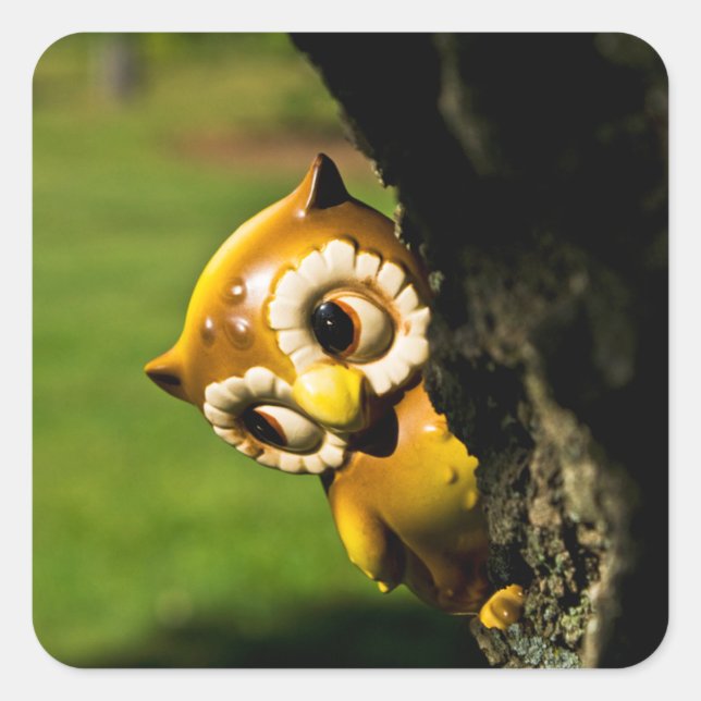 Sticker Carré Harvey le hibou II (Devant)