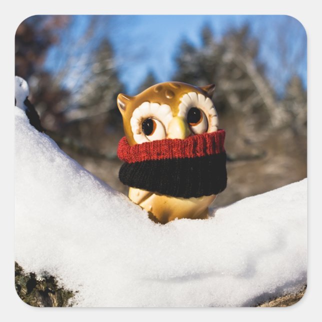 Sticker Carré Harvey the Owl IV (Devant)