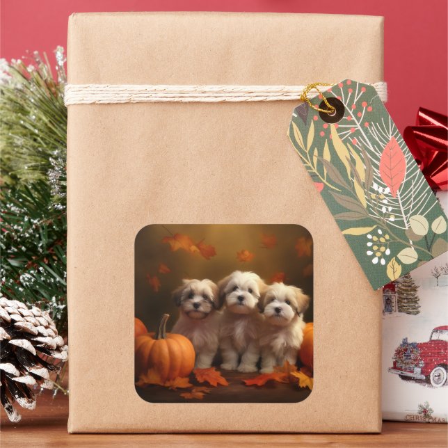 Sticker Carré Havanais chiot automne ravi Citrouille (vacances)