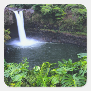 Sticker Carré Hawaii, Big Island, Hilo, Rainbow Falls, Lush