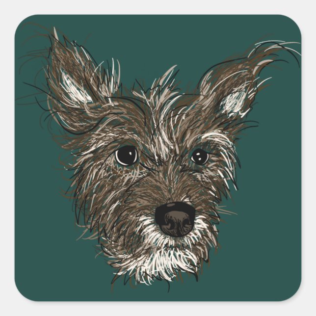 Sticker Carré haziepup (Devant)