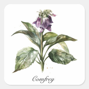Sticker Carré Herbal Life : Confrey personnalisable