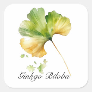 Sticker Carré Herbal Life : Ginkgo Biloba feuille personnalisabl