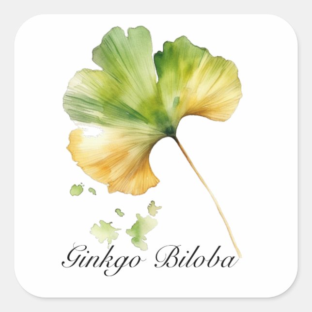 Sticker Carré Herbal Life : Ginkgo Biloba feuille personnalisabl (Devant)