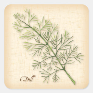 Sticker Carré Herbe Dill