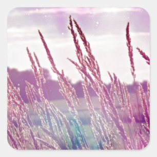 Sticker Carré Herbe magique