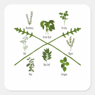 Sticker Carré Herbes Botaniques Jardin-Cadeau Herbaliste Anniver