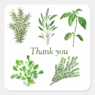 Sticker Carré Herbes Rosemary Sage Thyme Mint Parsley Merci