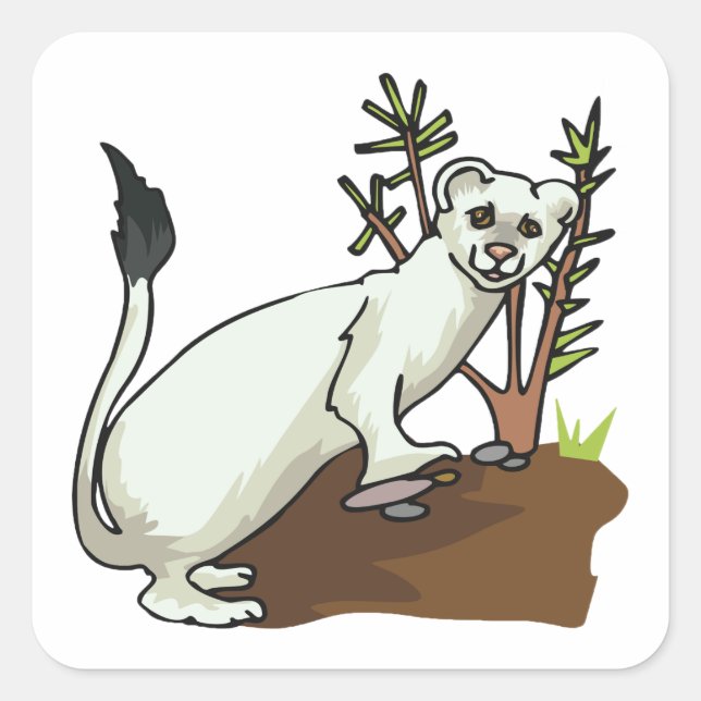 Sticker Carré Hermine Belette Blanche Hiver Faune (Devant)