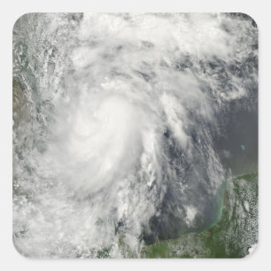 Sticker Carré Hermine de tempête tropicale dans le golfe du Mexi