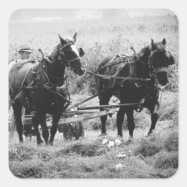 Sticker Carré Heure de péage en noir et blanc (Devant)