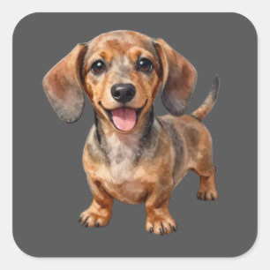 Sticker Carré Heureux chiot teckel