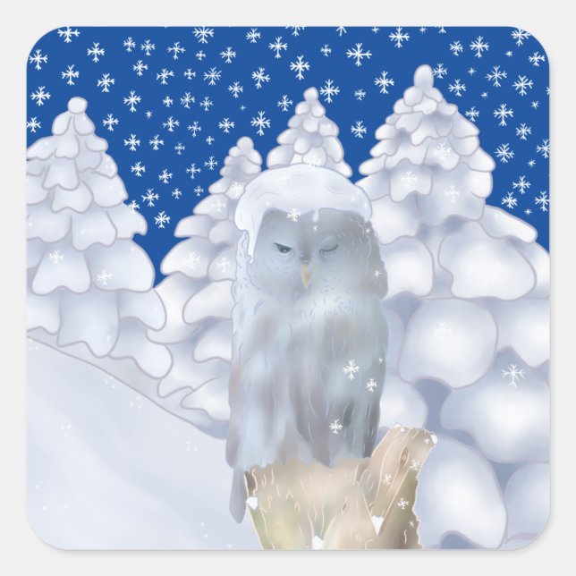 Sticker Carré Hibou dans la neige (Devant)