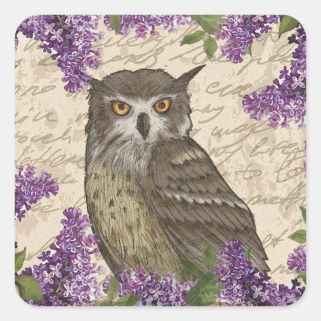 Sticker Carré hibou vintage et lilas (Devant)