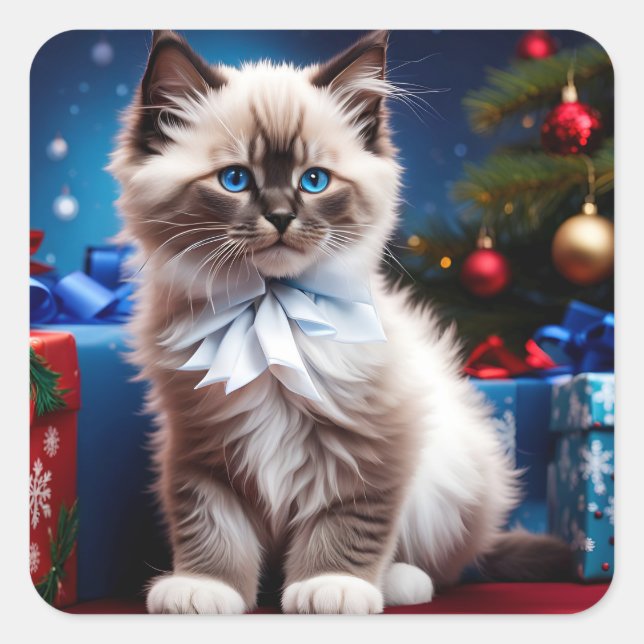 Sticker Carré Himalayan Kitten présente Noël (Devant)
