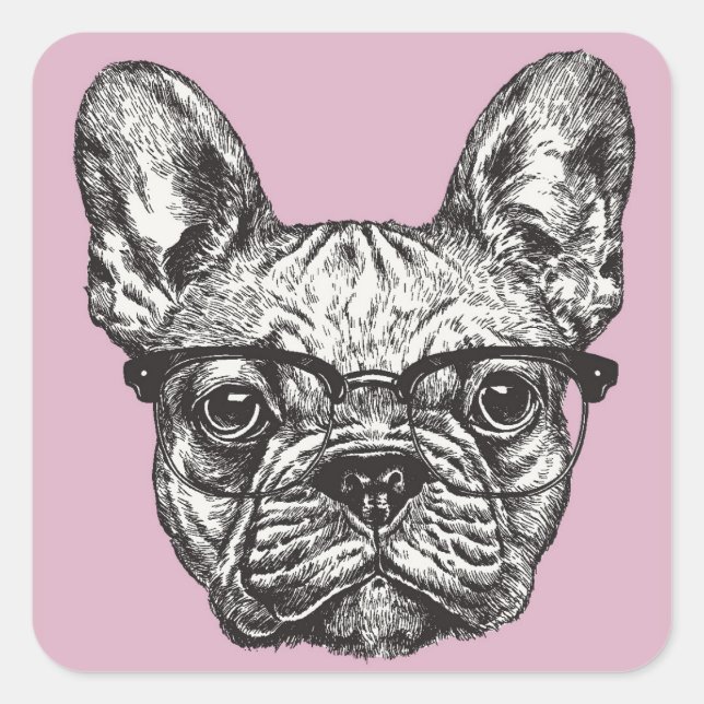 Sticker Carré Hipster Bulldog (Devant)