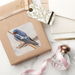 Sticker Carré Hirondelle bleue sur une branche