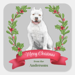 Sticker Carré Holly Banner White Pit Bull Dog Noël