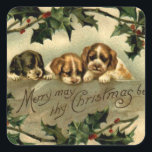 Sticker Carré Holly Puppies voeux de Noël<br><div class="desc">Vintage Holly Puppies voeux de Noël.</div>
