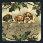 Sticker Carré Holly Puppies voeux de Noël<br><div class="desc">Vintage Holly Puppies voeux de Noël.</div>