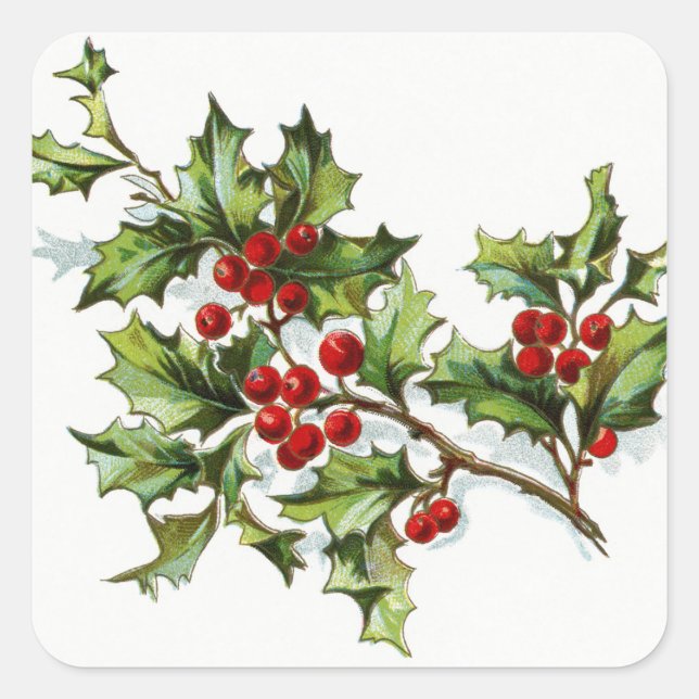 Sticker Carré HollyBerries20150802 (Devant)