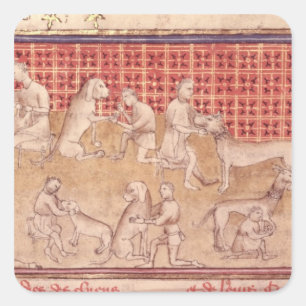 Sticker Carré Hommes s'inquiétant des chiens de chasse