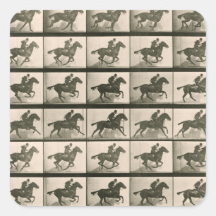 Sticker Carré Horse Motion Photographie Vintage