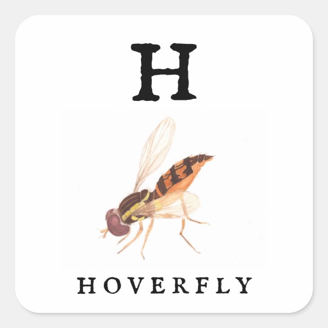 Sticker Carré Hoverfly (Devant)