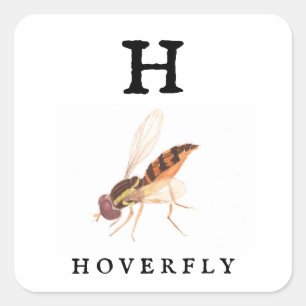 Sticker Carré Hoverfly