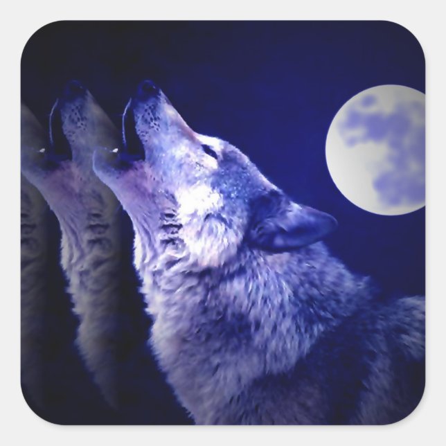 Sticker Carré Howling Wolf (Devant)