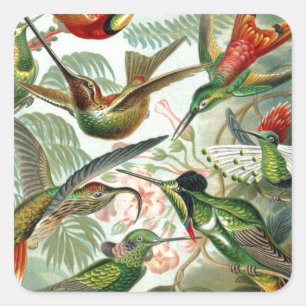 Sticker Carré Humming Birds Paradise Art