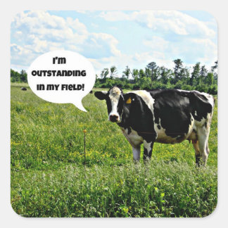 Sticker Carré Humour de vache