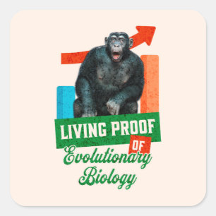 Sticker Carré Humour Évolutionnaire Biologie Chimpanzé Drôle