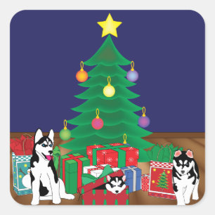 Sticker Carré Huskies Jouer sous la carte d'arbre de Noël