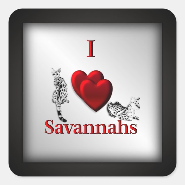Sticker Carré I Heart Savannah Chat Argent (Devant)
