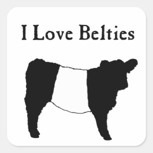 Sticker Carré I Love Belties - Black White Belt Galloway Cows