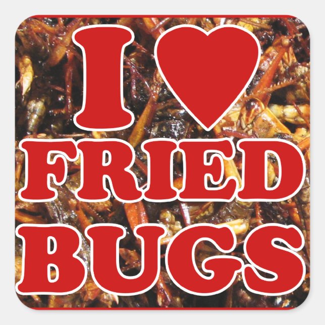 Sticker Carré I Love (Coeur) Fried Bugs / Insectes comestibles (Devant)
