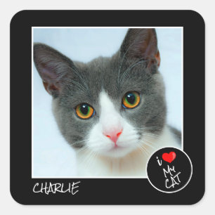 Sticker Carré I Love My Cat, Custom Photo - Pet Lovers