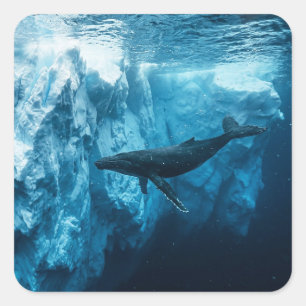 Sticker Carré Iceberg sous-marin et baleine à bosse