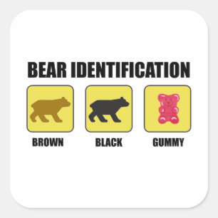 Sticker Carré Identification de l'ours drôle