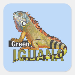 Sticker Carré iguane vert